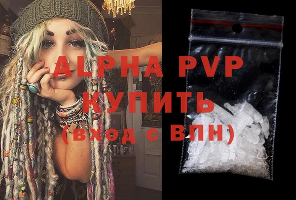 a pvp Магас