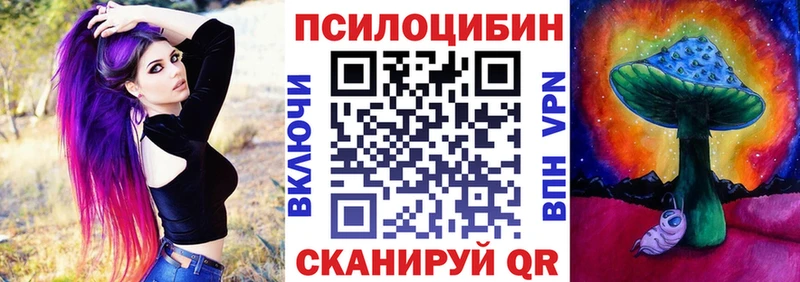 MEGA вход  Змеиногорск  Галлюциногенные грибы Cubensis  закладки 